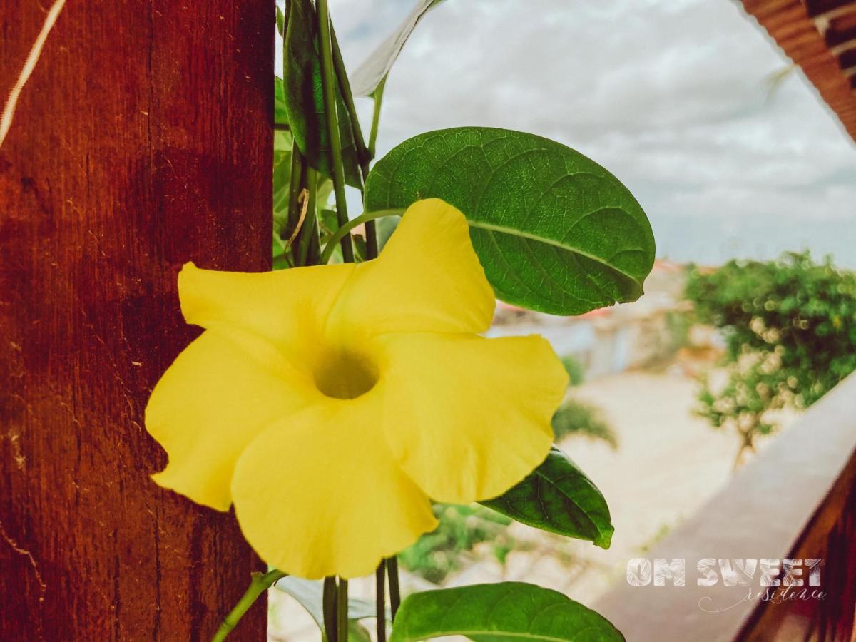 Om Sweet Residence 日若卡-迪热里科阿科阿拉 外观 照片